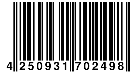 4 250931 702498