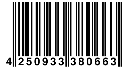 4 250933 380663