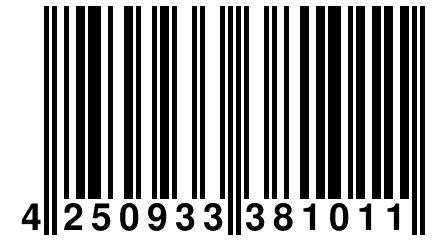 4 250933 381011