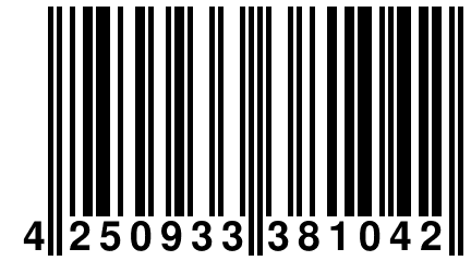 4 250933 381042