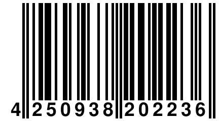 4 250938 202236