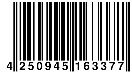 4 250945 163377