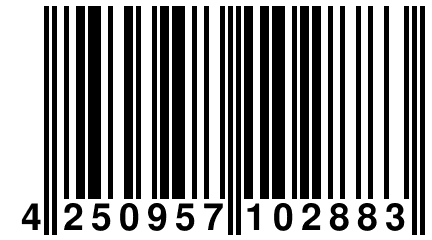 4 250957 102883