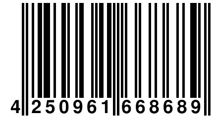 4 250961 668689