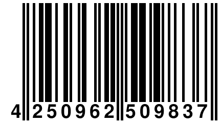 4 250962 509837