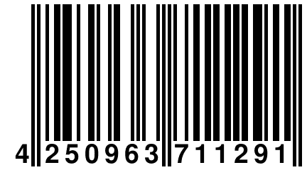 4 250963 711291