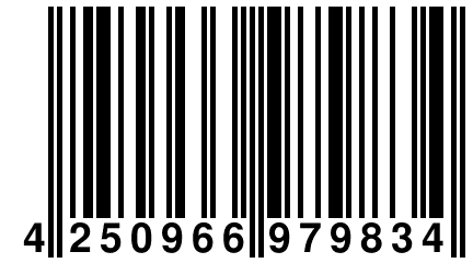 4 250966 979834