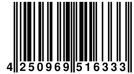 4 250969 516333