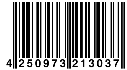 4 250973 213037