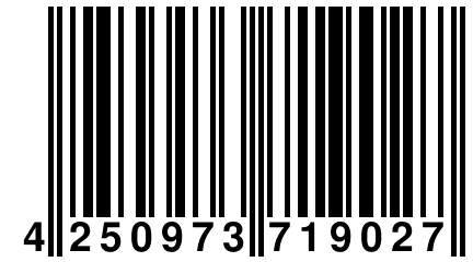 4 250973 719027