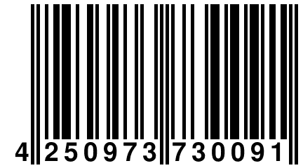 4 250973 730091