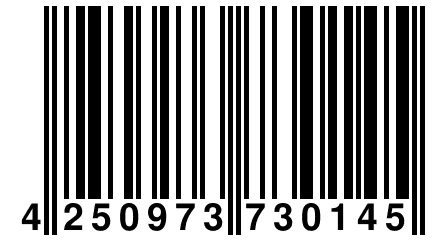 4 250973 730145