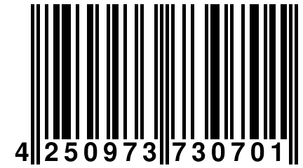 4 250973 730701