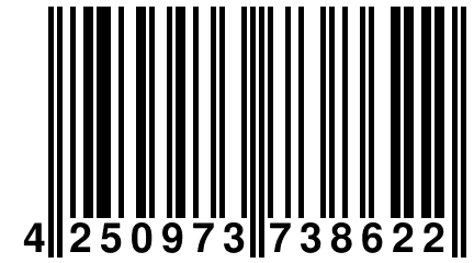 4 250973 738622