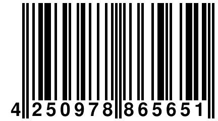 4 250978 865651