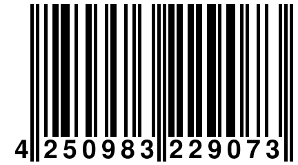 4 250983 229073