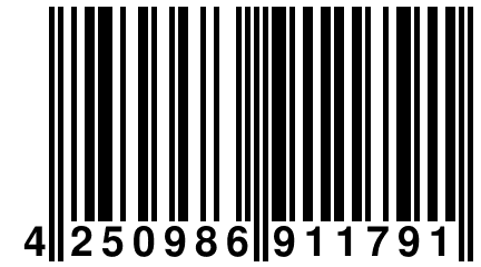 4 250986 911791