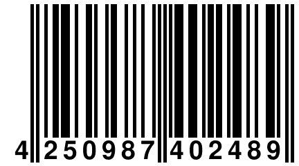 4 250987 402489