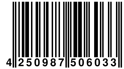 4 250987 506033