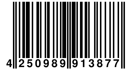 4 250989 913877