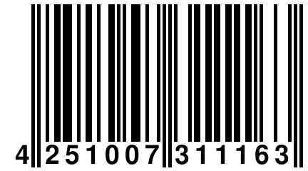 4 251007 311163