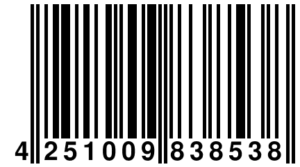 4 251009 838538