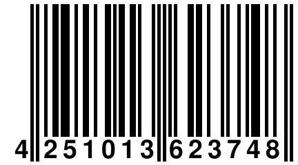 4 251013 623748