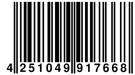 4 251049 917668