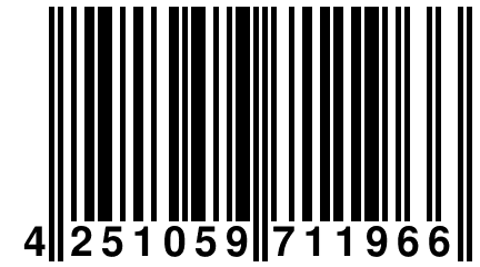 4 251059 711966