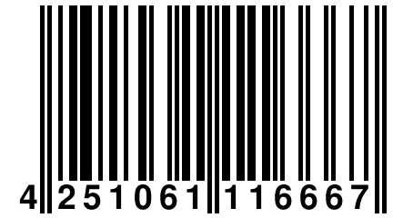 4 251061 116667