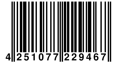 4 251077 229467