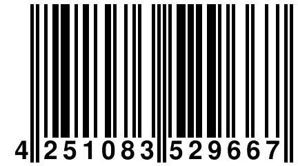 4 251083 529667