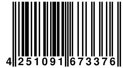 4 251091 673376