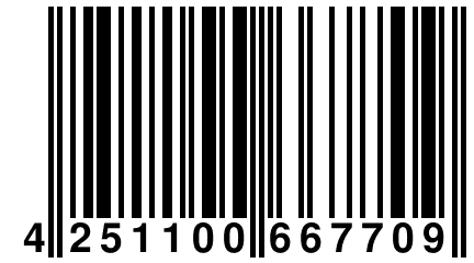 4 251100 667709