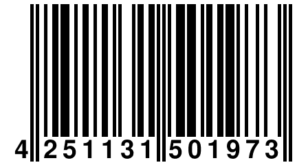 4 251131 501973