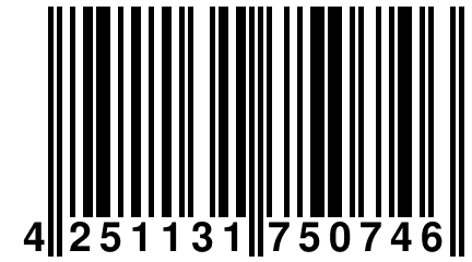 4 251131 750746