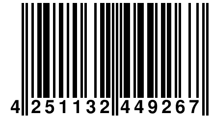 4 251132 449267