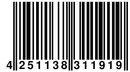 4 251138 311919