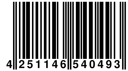 4 251146 540493