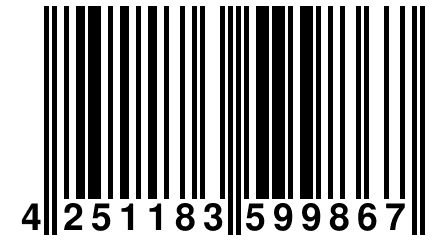 4 251183 599867