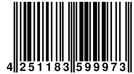 4 251183 599973