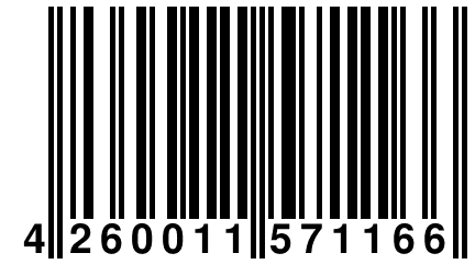 4 260011 571166