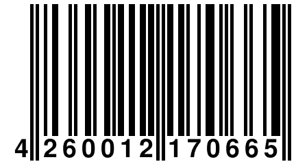 4 260012 170665