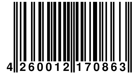 4 260012 170863