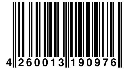 4 260013 190976