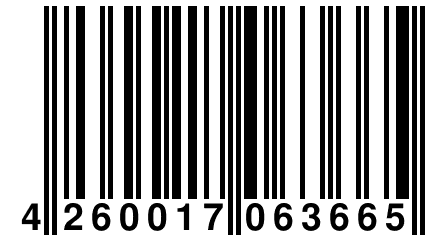 4 260017 063665