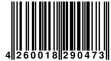 4 260018 290473