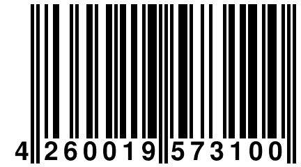 4 260019 573100