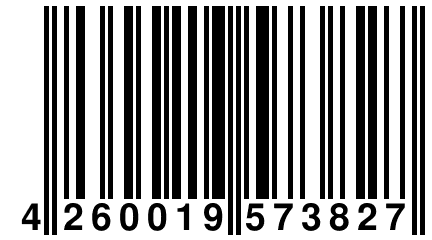 4 260019 573827