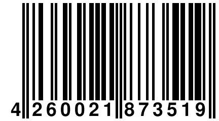 4 260021 873519